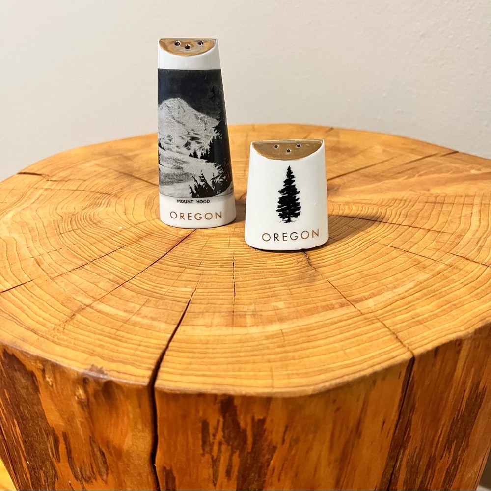 Vintage Ceramic Oregon / Mt Hood Salt and Pepper Shakers